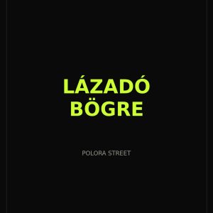 Lázadó Bögre