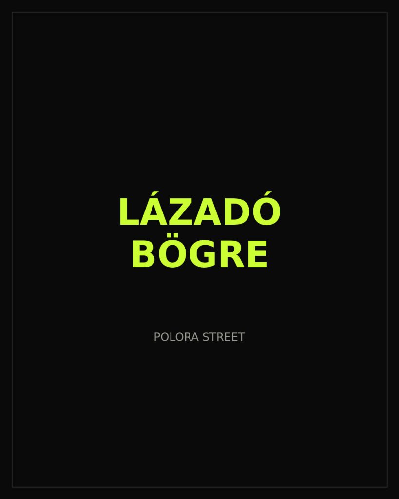 Lázadó Bögre